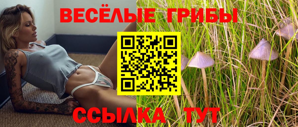Галлюциногенные грибы Magic Shrooms  Псилоцибиновые грибы Magic Shrooms  даркнет сайт  Вход с VPN  Мурино 