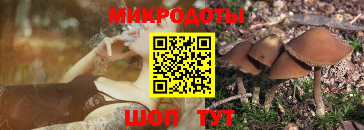 Галлюциногенные грибы Magic Shrooms Мурино